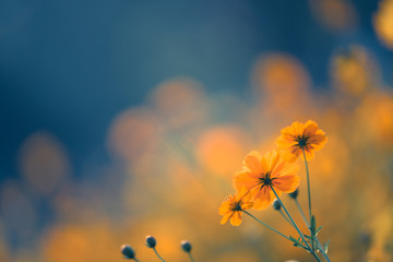 好看的白色笔记本电脑