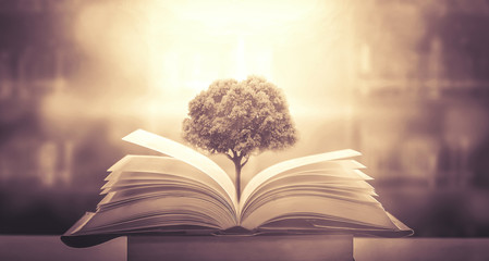 如何使联想笔记本电脑通过小米wify盒子连接电视机