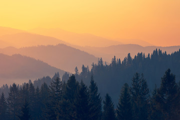 如何强制关机笔记本电脑