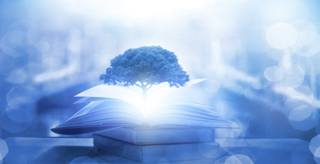 如何去掉笔记本静电？