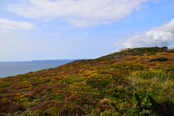 如何判断笔记本有没有M.2接口-