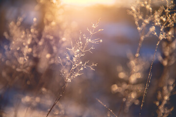 如何判断笔记本有没有M.2接口-