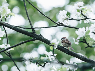 如何去掉笔记本静电？