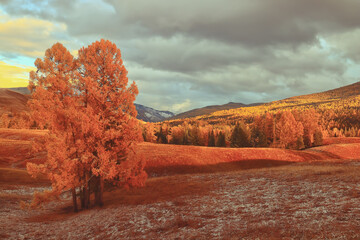 如何强制关机笔记本电脑
