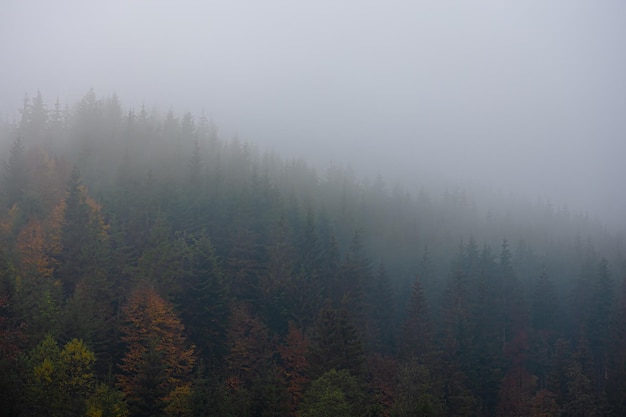 如何去掉笔记本静电？