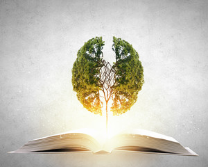 好看的白色笔记本电脑