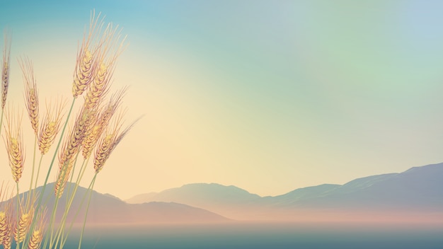 如何使联想笔记本电脑通过小米wify盒子连接电视机