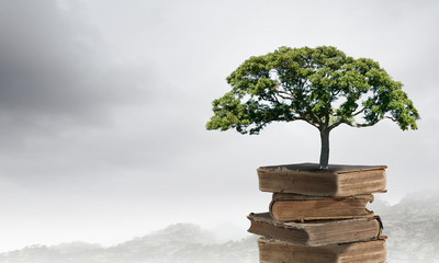 好看的白色笔记本电脑