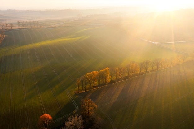 如何在笔记本电脑上刻录CD汽车音乐？